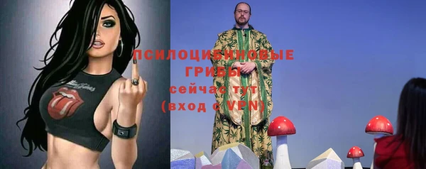 гидра Армянск