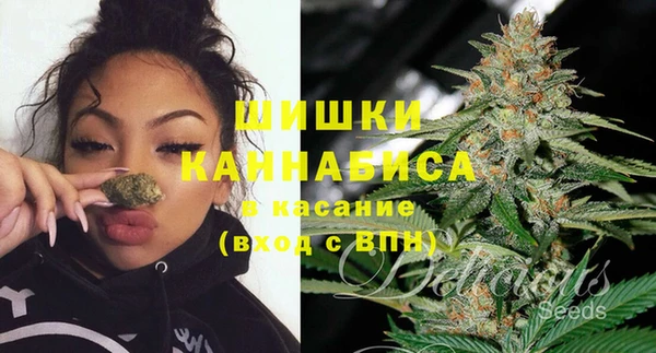 спайс Арсеньев