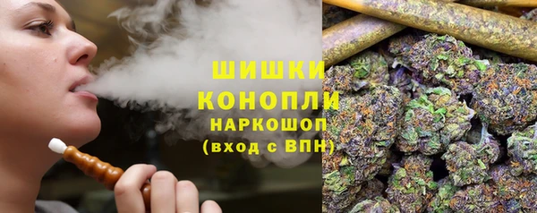 гидра Армянск