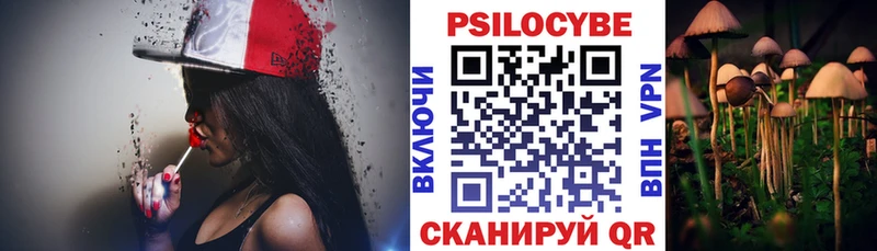 hydra зеркало  Верея  нарко площадка как зайти  Псилоцибиновые грибы мицелий 